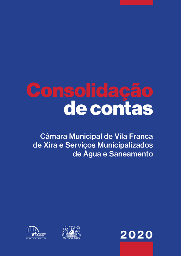 pages_from_consolidacao_de_contas_2020