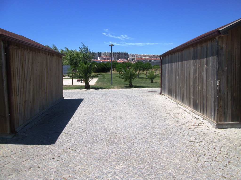 Img 4763 1 1024 2500