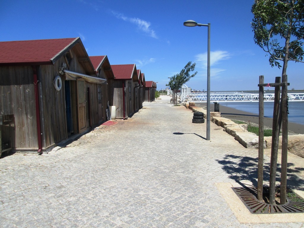Img 4764 1 1024 2500