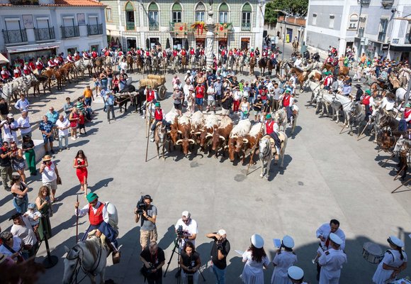homenagem_ao_campino_e_desfile___is_3774_min_1_2500_2500