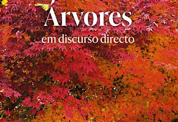 agenda_625x938_27set_set25_bagaofelix_fp