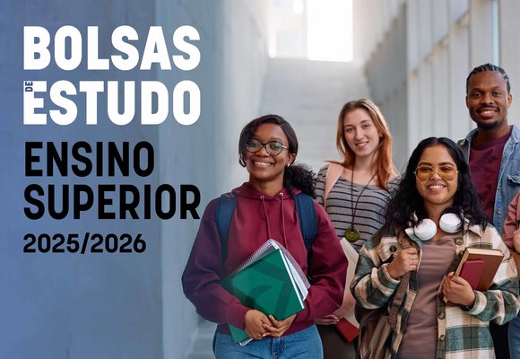 bolsas_2025_600x441px