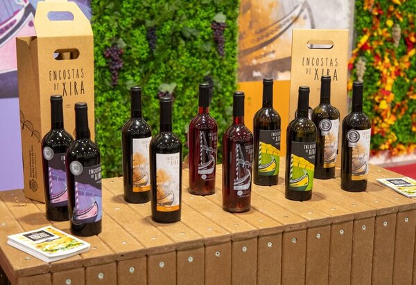 xira_wine_feste_18_11_23_ap_7904_min_1_930_600