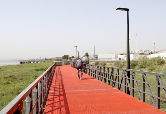 img_7496_v_cartaxo_8_06_2018_1_2500_2500