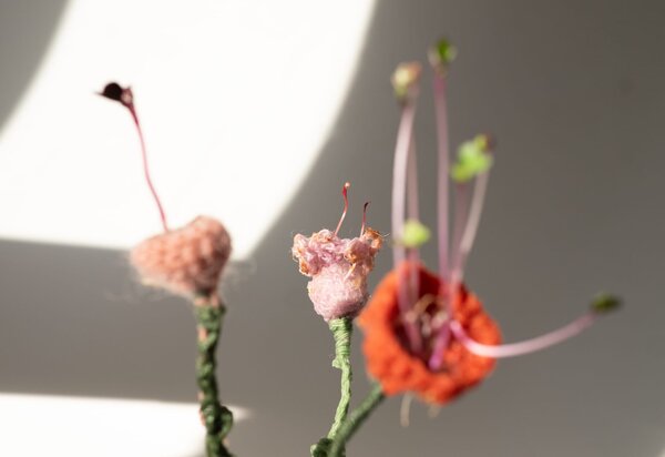 workshop_inauguracao_imagem