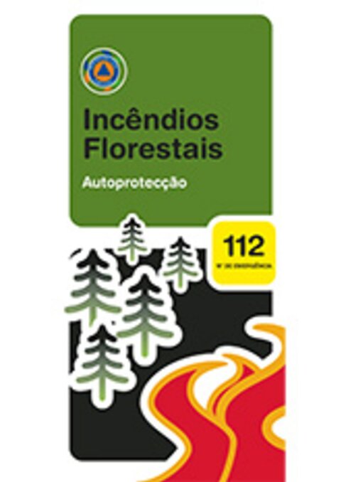 Inc_ndios_Florestais_auto_prote__o