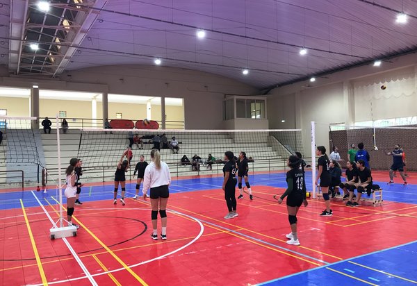 voleibol