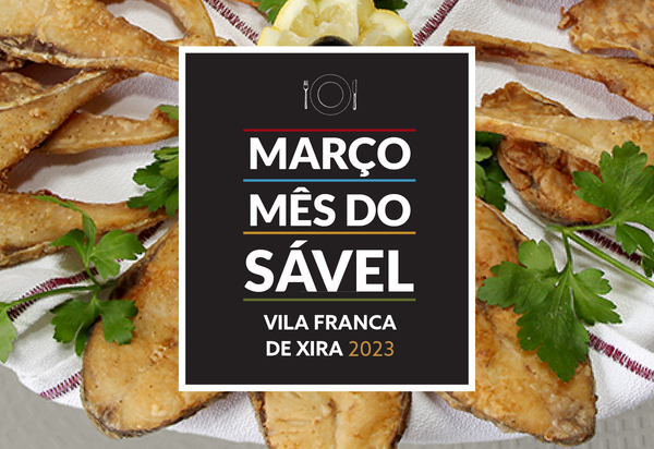 marco__mes_do_savel