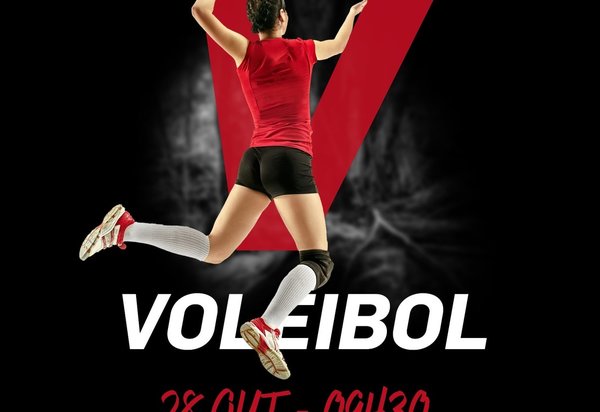 ddm_voleibol_a3_min