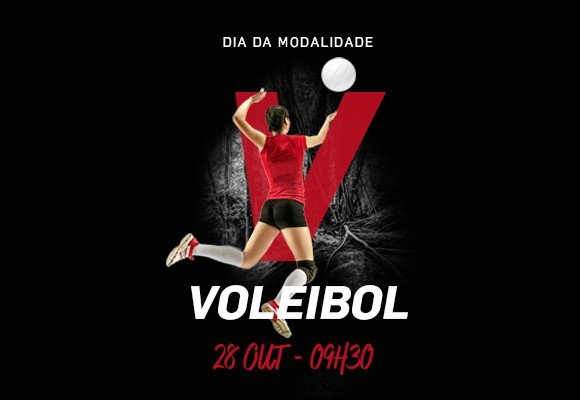 ddm_voleibol_newsletter_580x400p