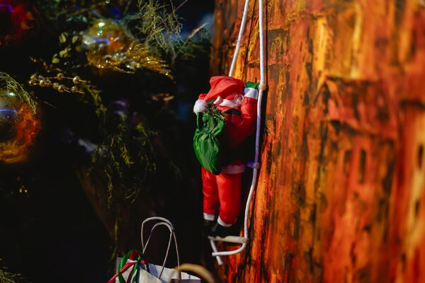 Maria da Purificação Pires