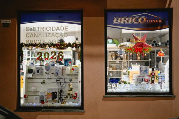 Bricolonga