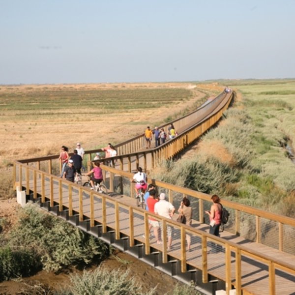 Trilho do Tejo