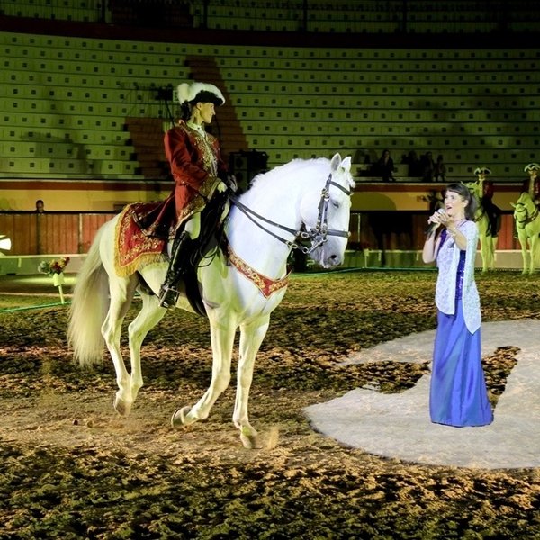 Gala Equestre “A noite Mágica do Cavalo”