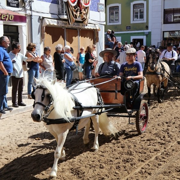 Desfile de Tertúlias e Coletividades