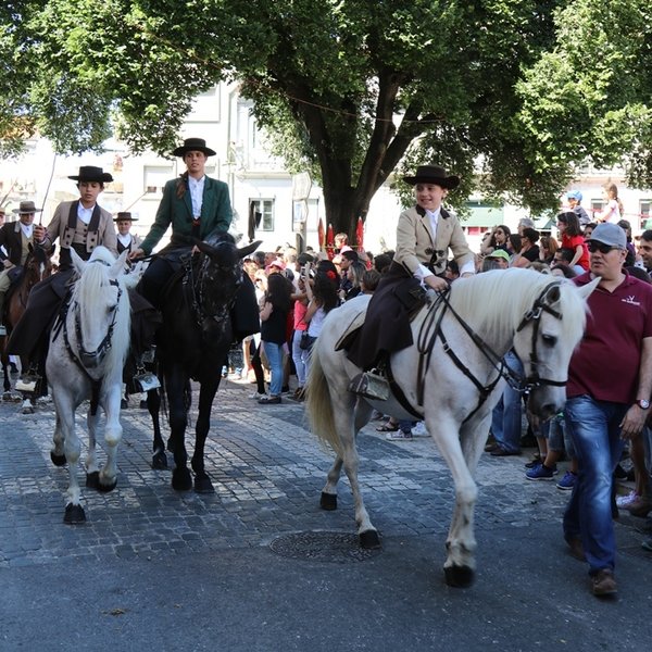 Desfile de Tertúlias e Coletividades