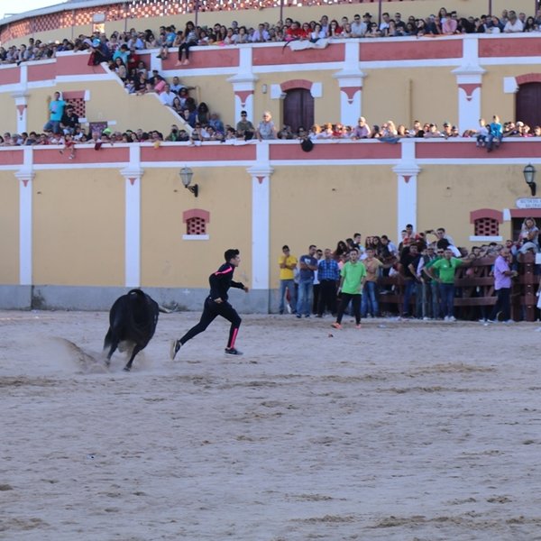 Esperas de toiros