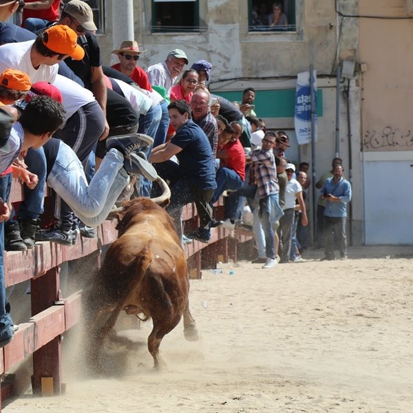 Esperas de toiros