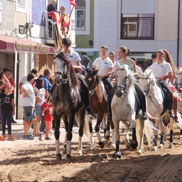 Desfile de Tertúlias e Coletividades 