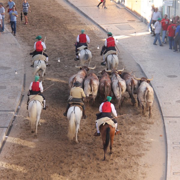 Desfile de Tertúlias e Coletividades 