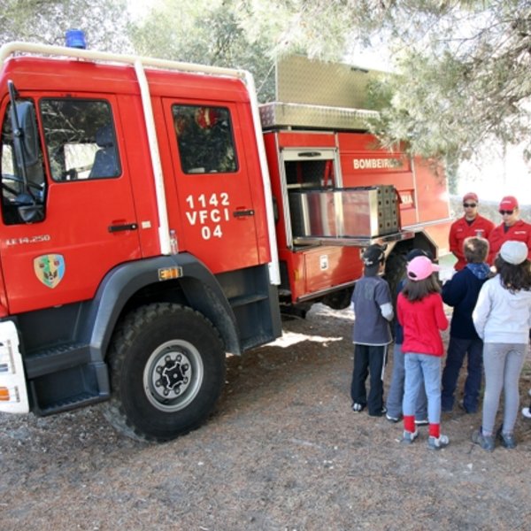 Dia Internacional da Floresta