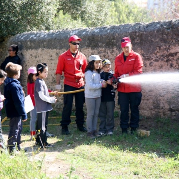 Dia Internacional da Floresta