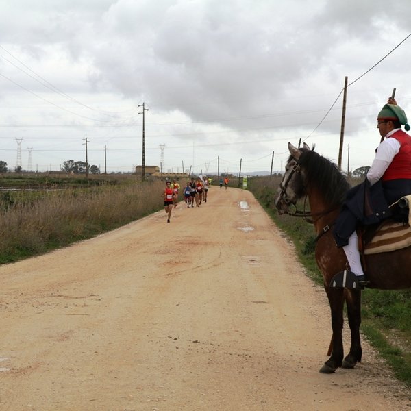 A tradicional imagem que marca a diferença da Corrida das Lezírias