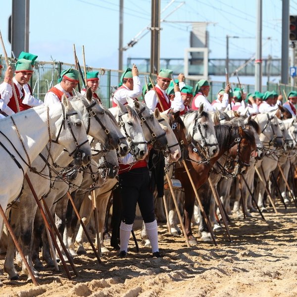 Corridas de campinos