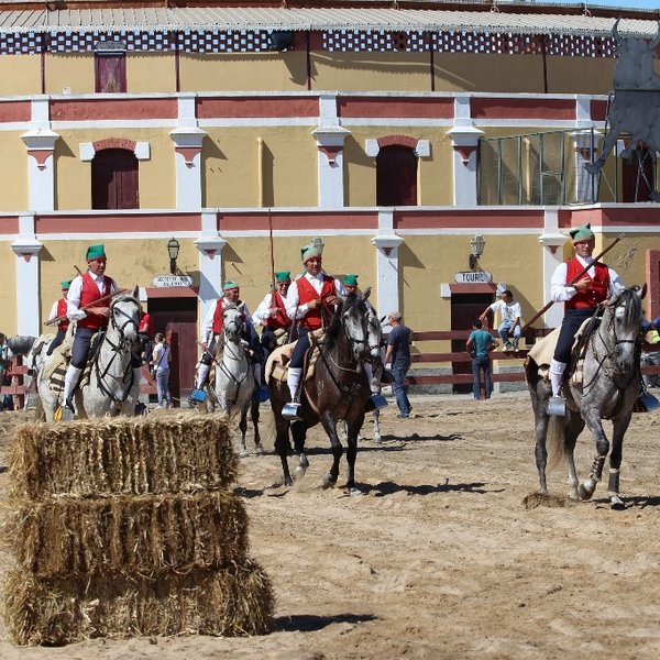 Corridas de campinos