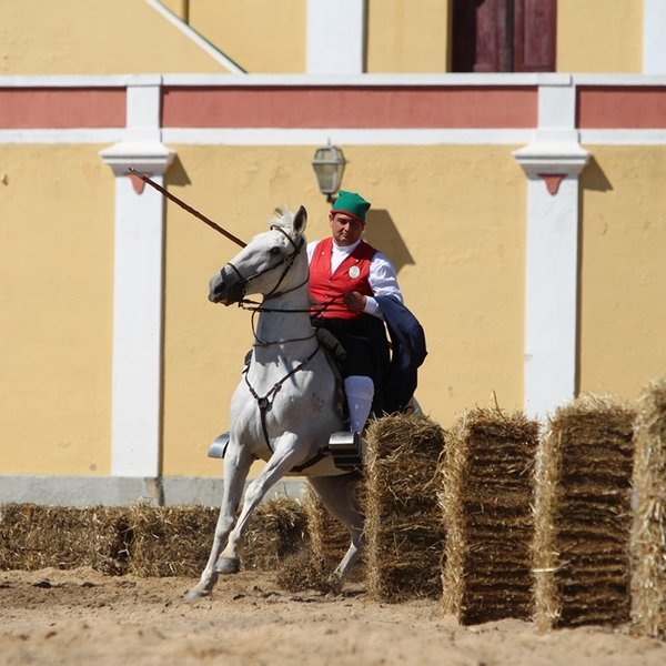 Corridas de campinos