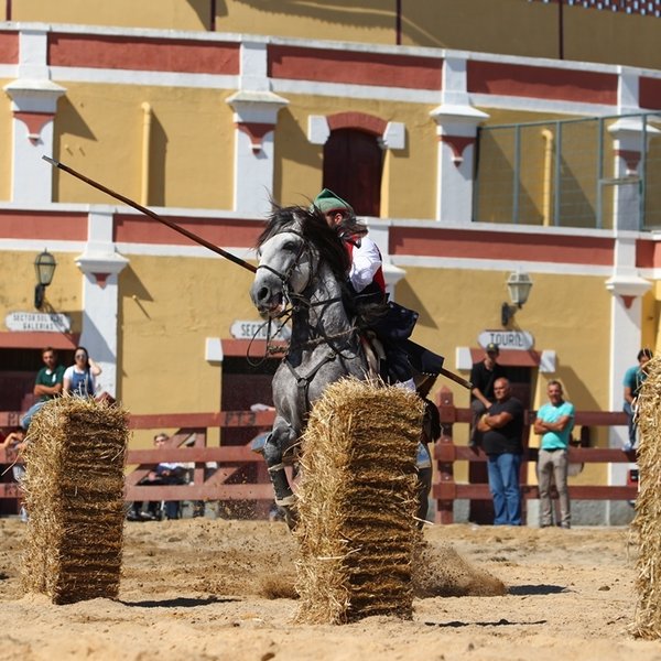 Corridas de campinos