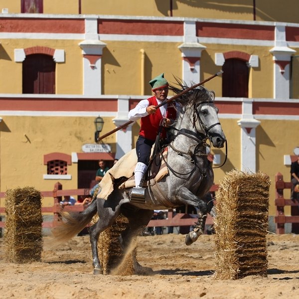 Corridas de campinos