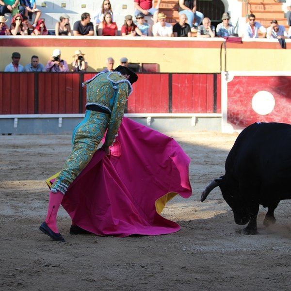 Corrida de Toiros