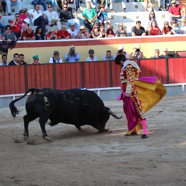 Corrida de Toiros