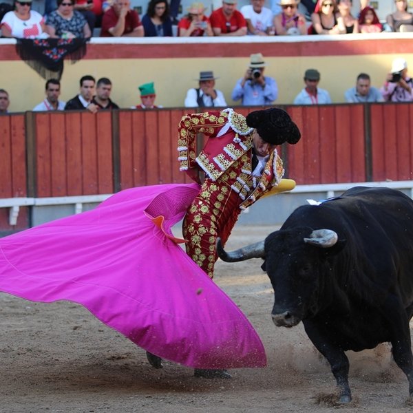 Corrida de Toiros