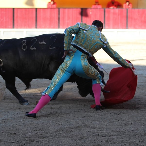 Corrida de Toiros