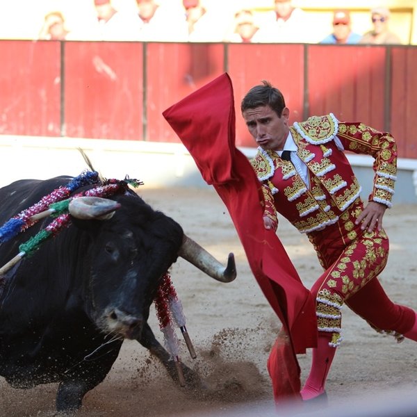 Corrida de Toiros