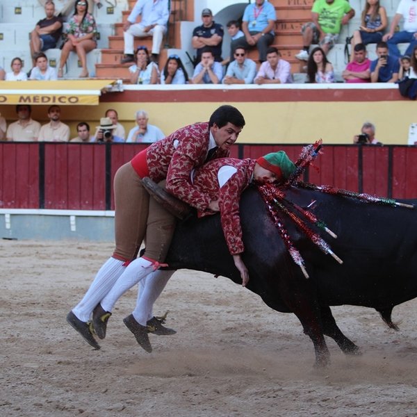 Corrida de Toiros