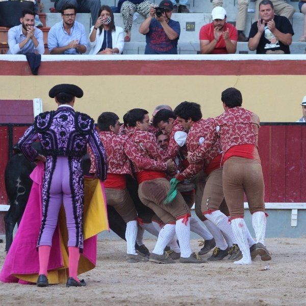 Corrida de Toiros