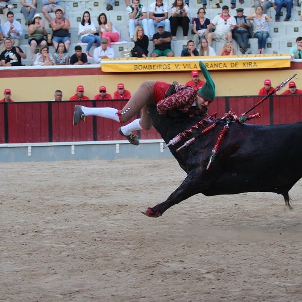 Corrida de Toiros