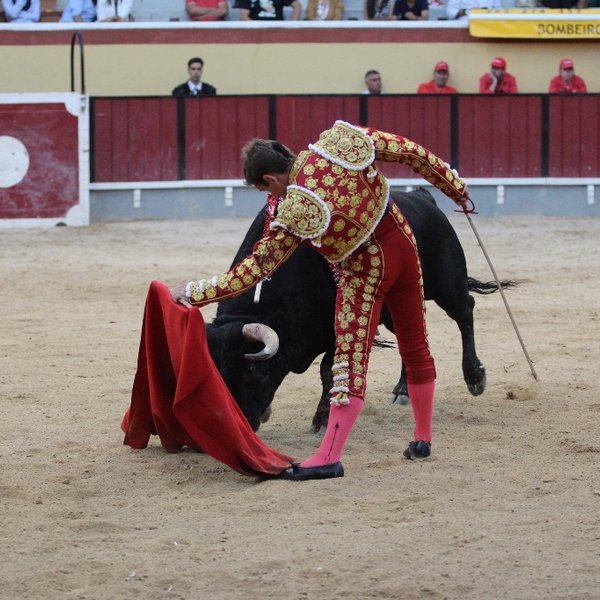 Corrida de Toiros