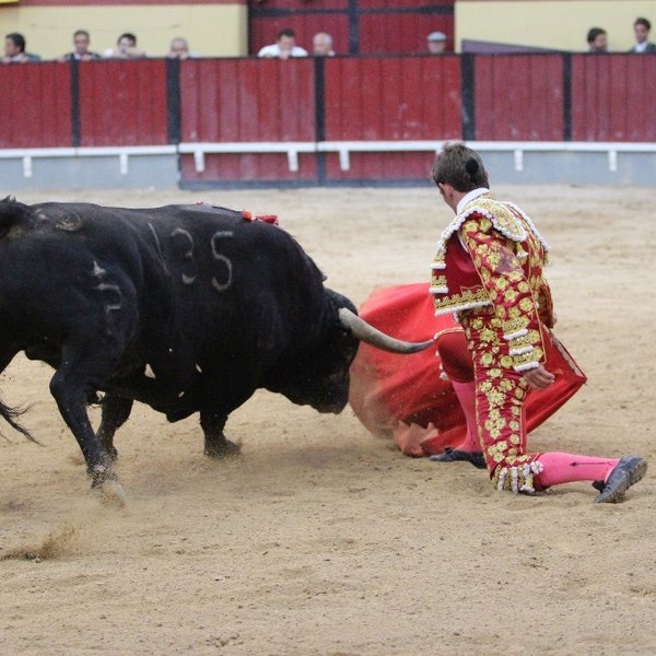 Corrida de Toiros