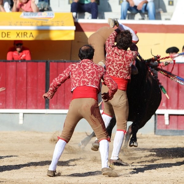 Corrida de Toiros