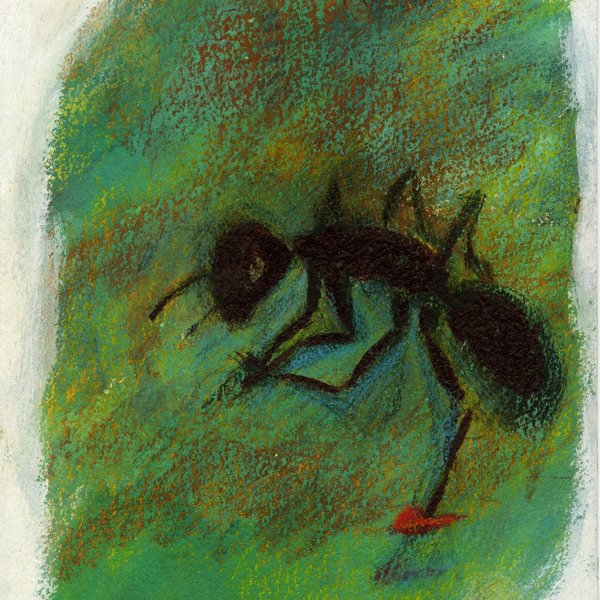 'Formiguinha descalça', cerca de 1988