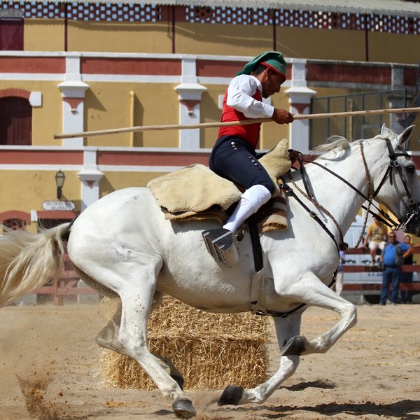 83.º Colete Encarnado (03 a 05/07/2015 - Vila Franca de Xira)