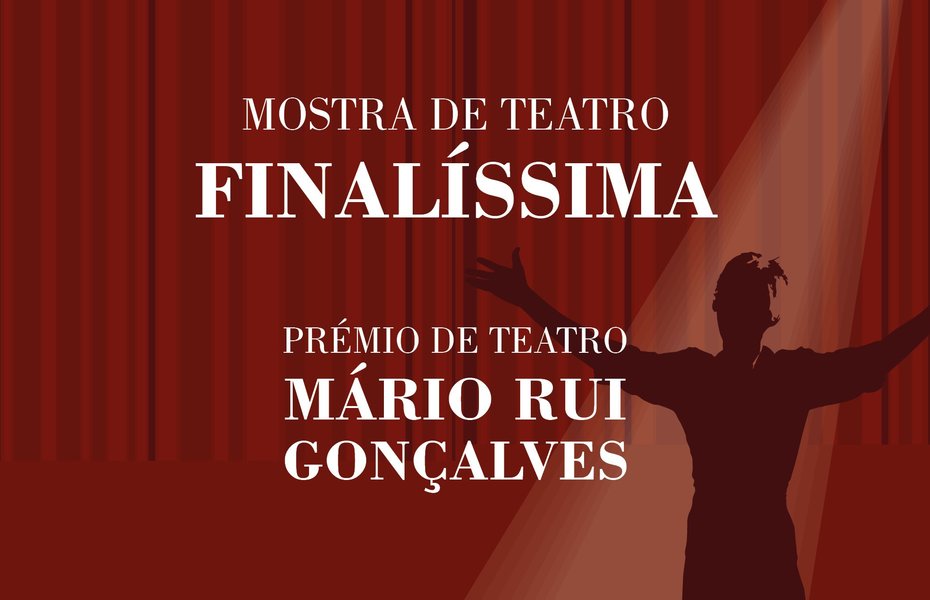 site_930x600px_premiomarioruig