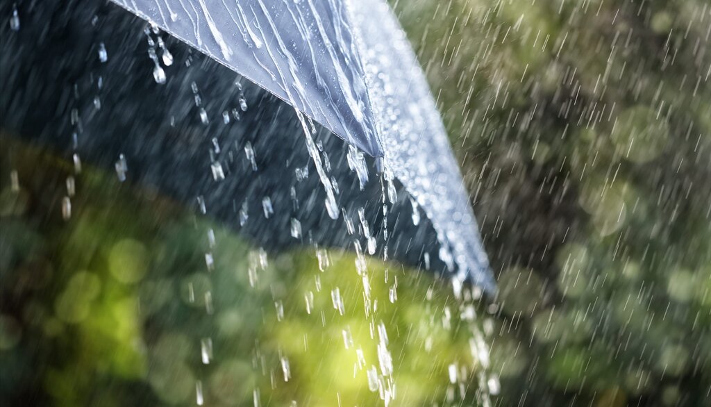 rain_on_umbrella_2026_01_05_01_12_58_utc__1_
