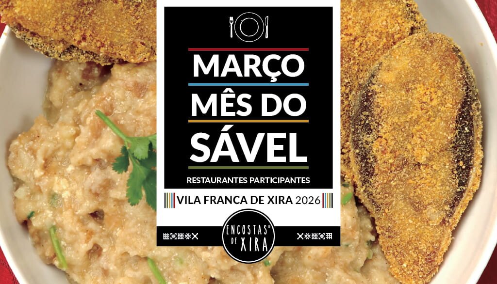 slider_topohp1024x586_savel26