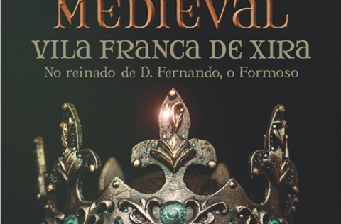 Cartaz a3 viii mmvfx final 1 480 316