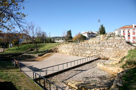 IMG_5576_H_Dias__30-11-2010